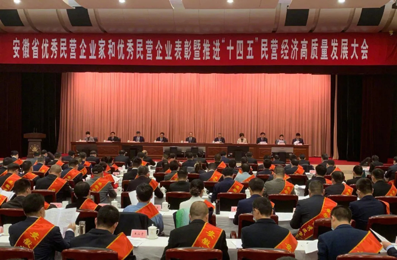 喜讯！金沙检测线路js69科技总经理梁燕被授予“安徽省优秀民营企业家”称号
